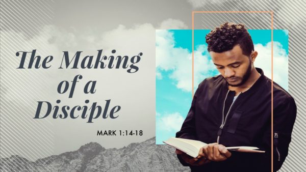 The Commitment of a Disciple Image